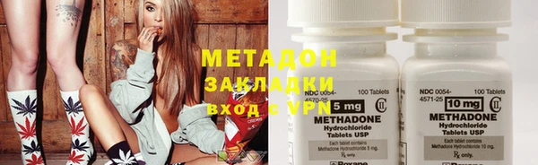 шишки Белокуриха