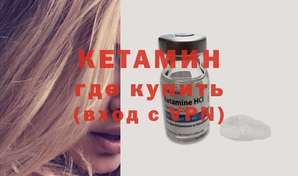 шишки Белокуриха