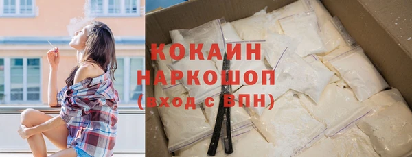 шишки Белокуриха