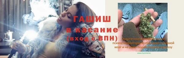 шишки Белокуриха