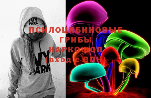 шишки Белокуриха