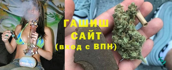 шишки Белокуриха