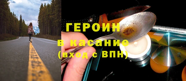шишки Белокуриха