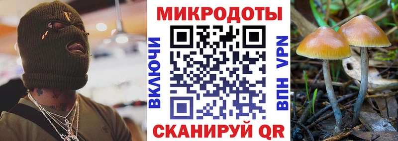 Галлюциногенные грибы Cubensis Кстово